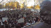 john harvard houses GIF by Harvard University