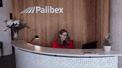 Palibex pale transporte logistica camión GIF