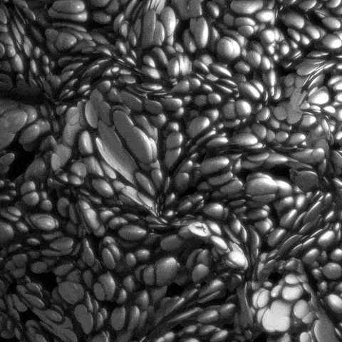 Loop Buenos Dias GIF by xponentialdesign