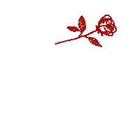 sorry i love you Sticker by Vacation Forever