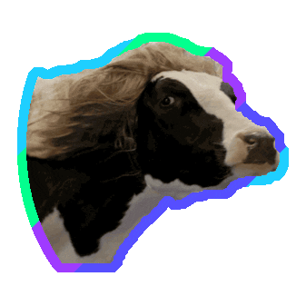 cow STICKER by imoji