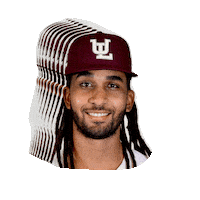 AlgodonerosUL laguna ul algodoneros unionlaguna Sticker