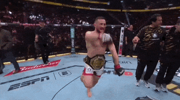 Sport Mma GIF by UFC