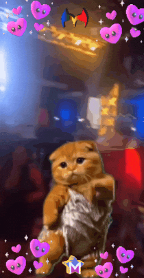 Radio Feliz GIF by Murcianys LLC