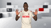 Football Soccer GIF by Bundesliga