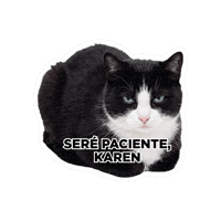 Seguroesporminino Sticker by Minino Plus®