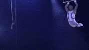 Clap Flying GIF by Ringling Bros. and Barnum & Bailey