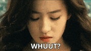 Fun Francais GIF