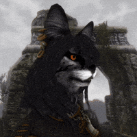 Skyrim GIF