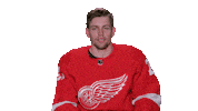Red Wings Sport Sticker by Detroit Red Wings