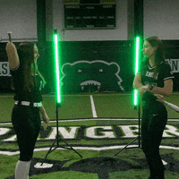 Parkside Softball GIF by Parkside Athletics