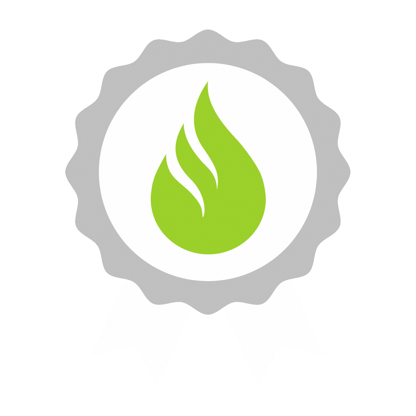 Silver Medal Sticker by Work-Out