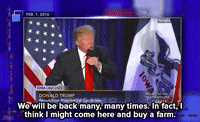 donald trump GIF