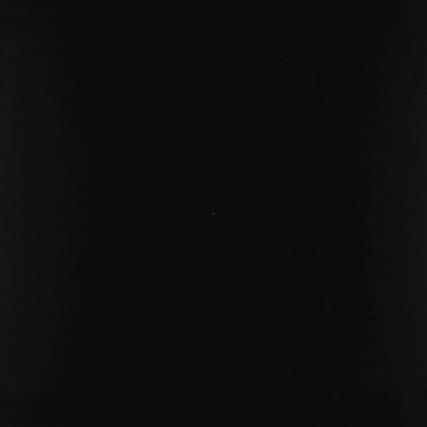 Animation 3D GIF by Raz