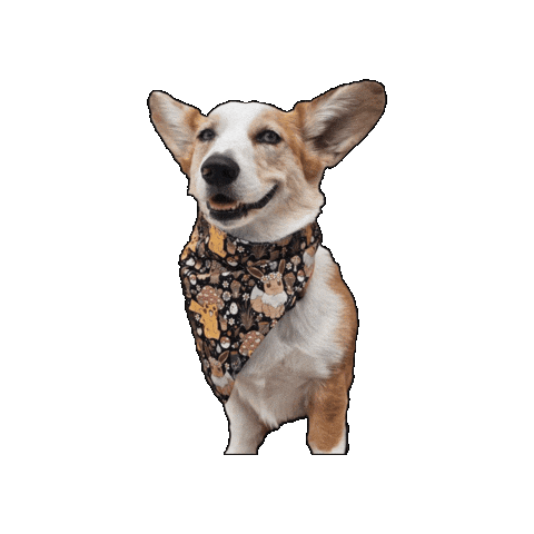 Pokemon Corgi Sticker by Geekster Pets