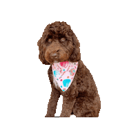 Sweet Tooth International Dog Day Sticker by Geekster Pets