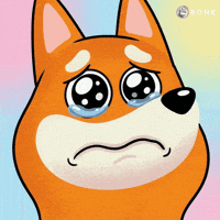 Crypto Blinking GIF by BONK