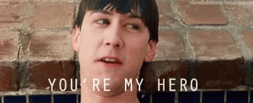 My Hero GIF by memecandy