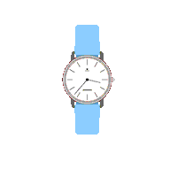 LouisPion watch temps montre louispion Sticker