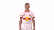 Here I Am GIF by FC Red Bull Salzburg