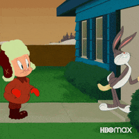 Looney Tunes Animation GIF by HBO Max