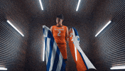 Ncaa Basketball GIF by Fighting Illini Athletics