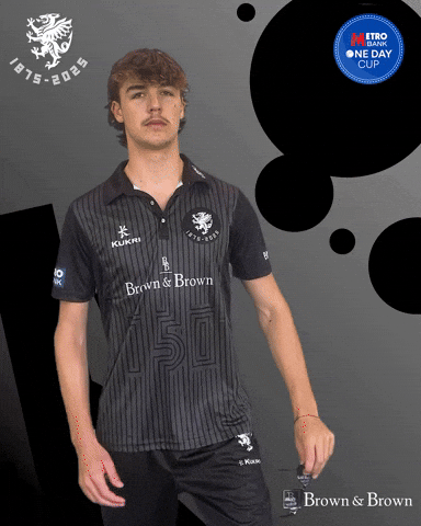 Sun Ball GIF by Somerset County Cricket Club