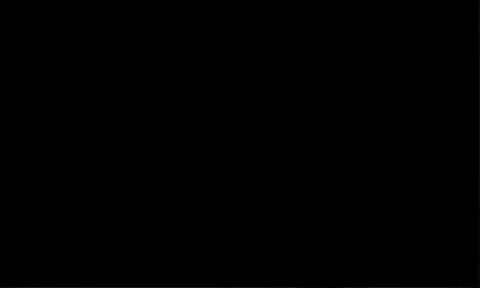 GIF animado