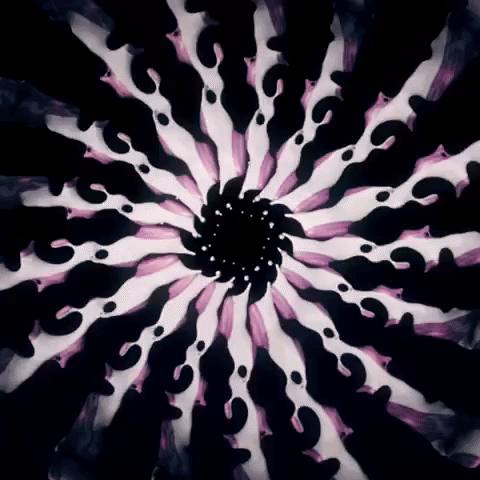 animation eyecandy GIF by hamasakihaus