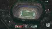 National Football League GIF by NFL