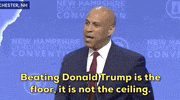 New Hampshire 2020 Race GIF