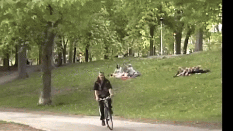 Bike Ride It GIF by Jerry Tremblay