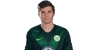 football soccer Sticker by VfL Wolfsburg