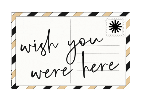 welltraveledclub giphyupload travel vacation vip Sticker