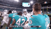 Miami Dolphins Football GIF by NFL