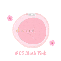 Makeup 블러셔 Sticker by BY ECOM