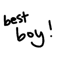 smolgul best line write black line Sticker