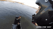 statue of liberty tech GIF