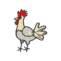Chicken Sticker