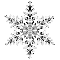 Snow Freezing Sticker by Feliks Tomasz Konczakowski