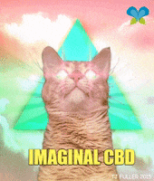 Cat Pink GIF by Imaginal Biotech