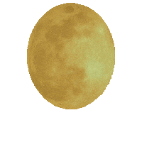 Full Moon Space Sticker by OTBP