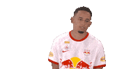 Rbs What Sticker by FC Red Bull Salzburg