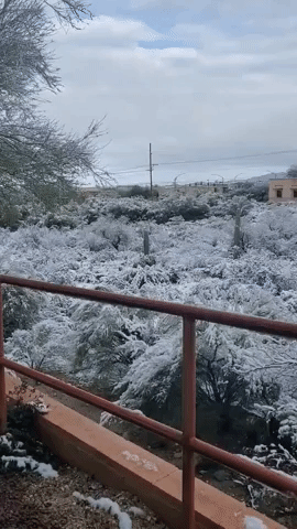 Winter Weather Turns Southern Arizona Into 'Snow Globe'