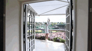 Sport Tennis GIF by Wimbledon