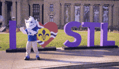 St Louis Stl GIF by Saint Louis University