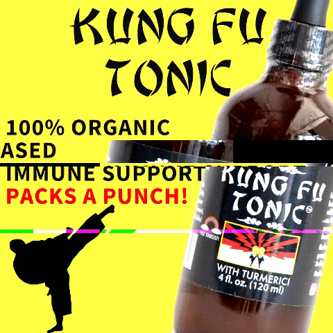 kung fu tonic glitch f GIF