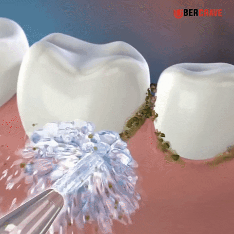 ubercrave giphyupload GIF