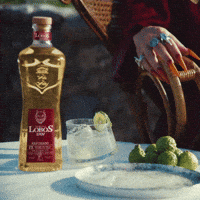 GIF by Lobos 1707 Tequila
