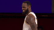 Nba Finals Sport GIF by NBA